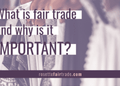 What is fair trade and why is it important?