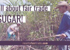 Fair trade sugar makes Fairtrade Month extra sweet!