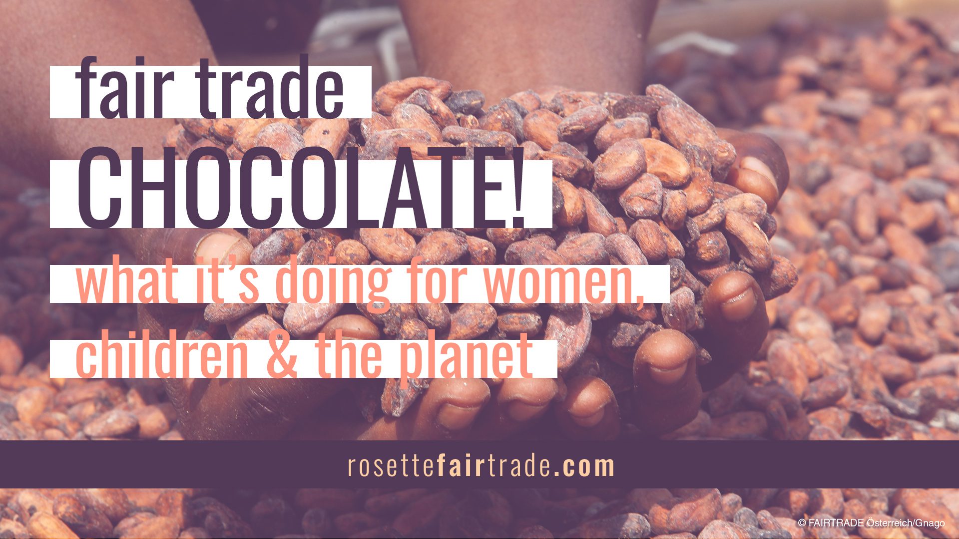 Fair trade chocolate - what it is doing for women children and the planet on Rosette Fair Trade